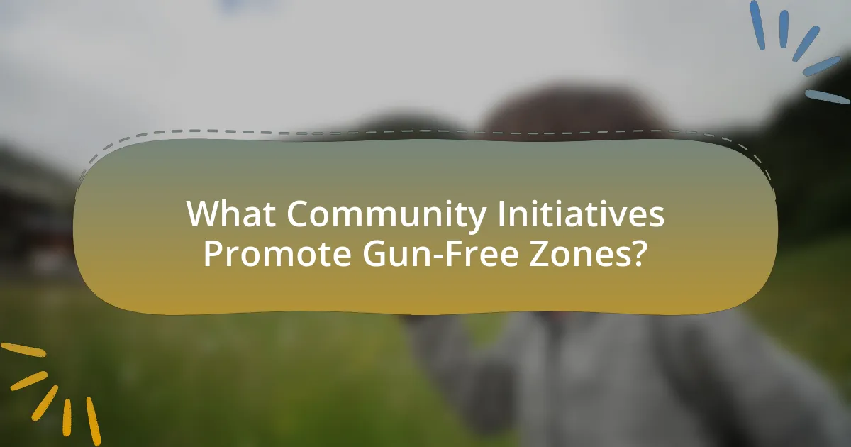 What Community Initiatives Promote Gun-Free Zones?