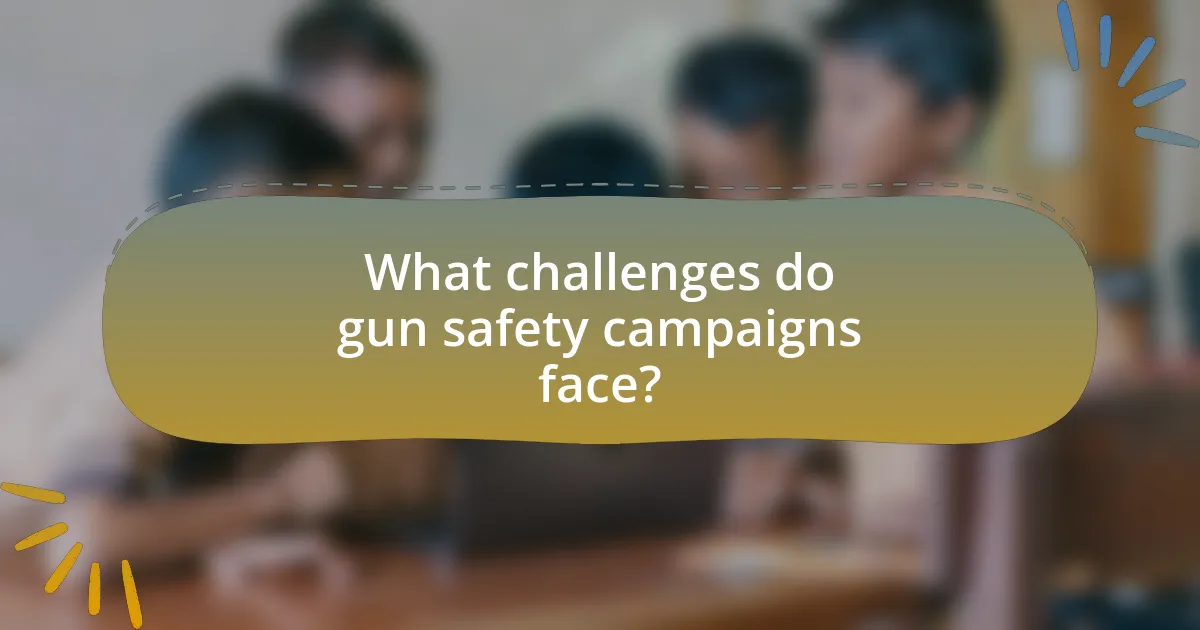 What challenges do gun safety campaigns face?