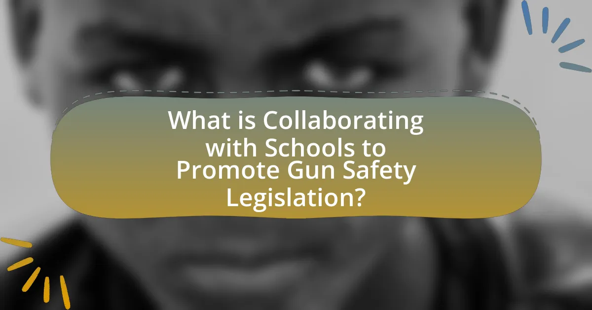 What is Collaborating with Schools to Promote Gun Safety Legislation?