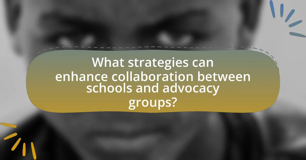 What strategies can enhance collaboration between schools and advocacy groups?